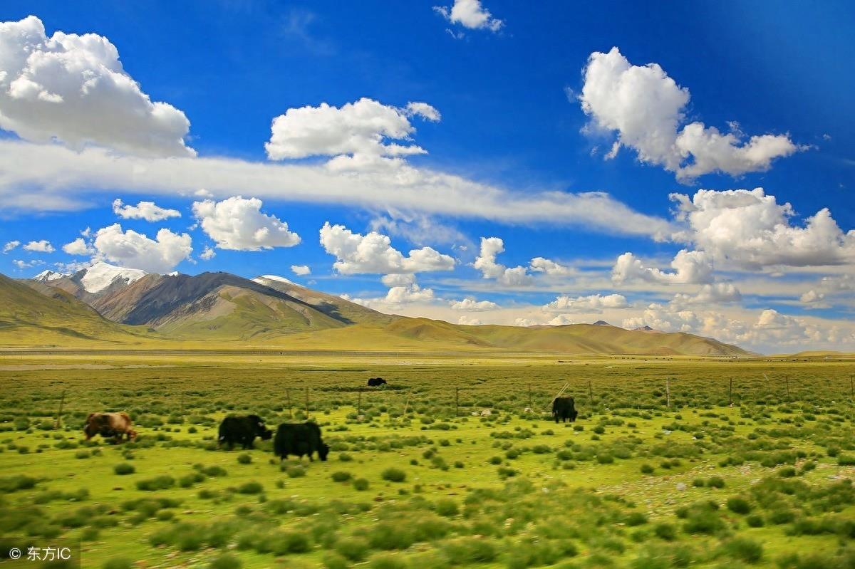 中国面积最大的市：总面积近37万平方公里，相当于58个上海