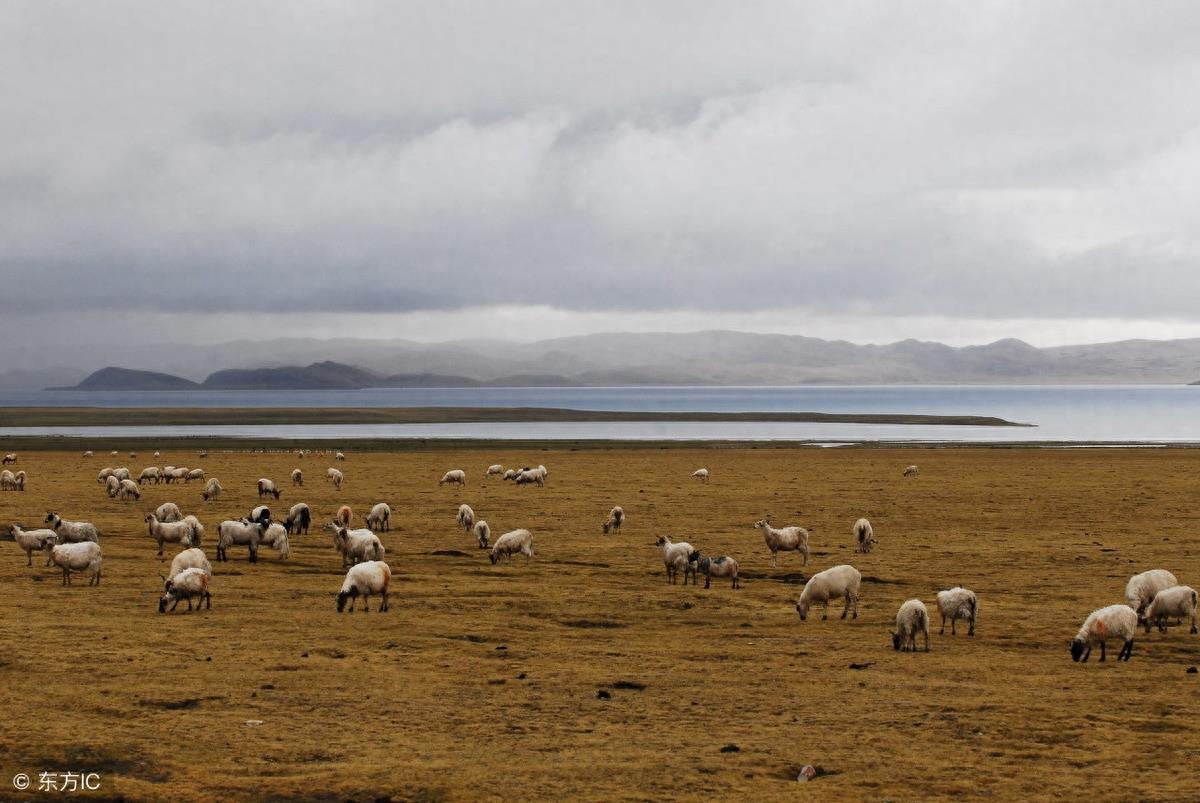 中国面积最大的市：总面积近37万平方公里，相当于58个上海