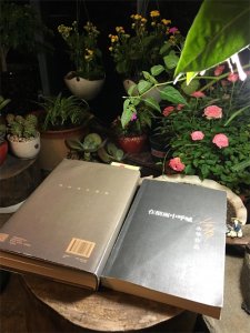 ​余华-《在细雨中呼喊》