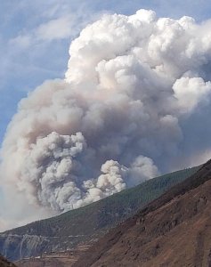 ​凉山森林火灾因何起、轰燃从何来？听听专家怎么说