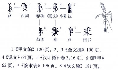 ​《说文解字》551课：细说“秉”字，“秉公”的“秉”字何义？