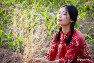 ​山村情事：嫂子君梅（143）酒桌上的小叔子