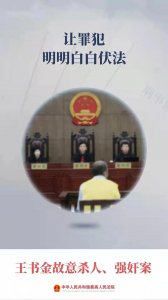 ​让罪犯明明白白伏法！十大提名案件之王书金故意杀人、强奸案