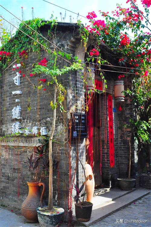 珠海淇澳岛 - 集海岛风光与人文史迹的小岛