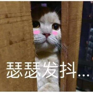 ​太猥琐！男子偷窥女厕所，被女子用手机拍下全过程