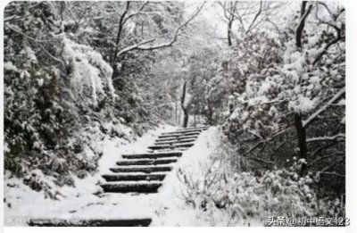 ​什么是白描？举例讲解，易理解