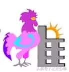 十二生肖婚配宜忌大全（婚姻属相配对禁忌）