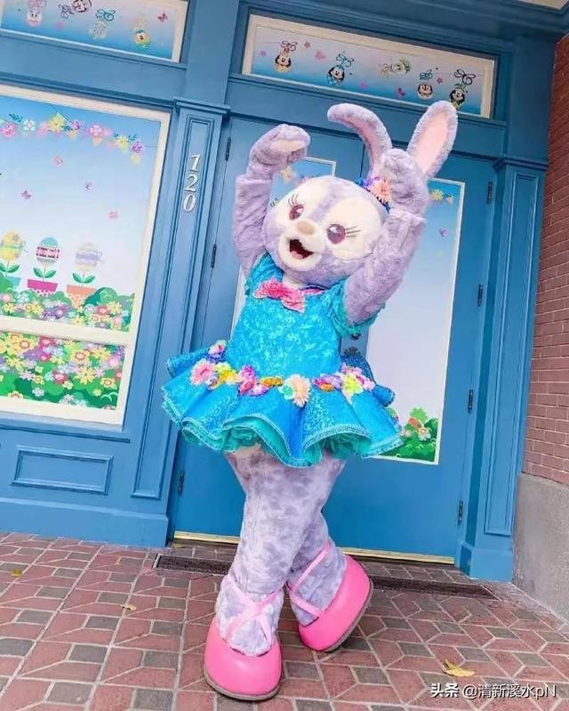 盘点一下达菲和他的朋友们 盘点一下达菲和他的朋友们(4)