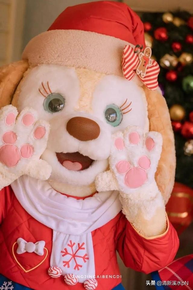 盘点一下达菲和他的朋友们 盘点一下达菲和他的朋友们(5)