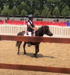 ​11位星二代钟情马术：刘烨女儿于谦儿子参赛，个个都是帅气小骑手