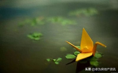 ​社区商铺高投资低回报？错！四点告诉你有多赚