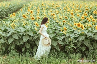 ​红杏出墙:农村留守妇女的寂寞与背叛