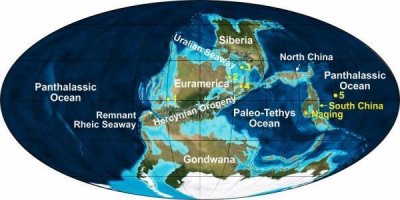 ​地球史：石炭纪