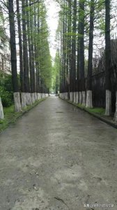 ​上海影视乐园，曾经拍过多少部电视剧？有哪些经典作品？