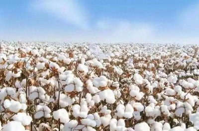 ​乌兹别克斯坦:从“中亚明珠”到“黑帮之国”中国是怎样的救世主