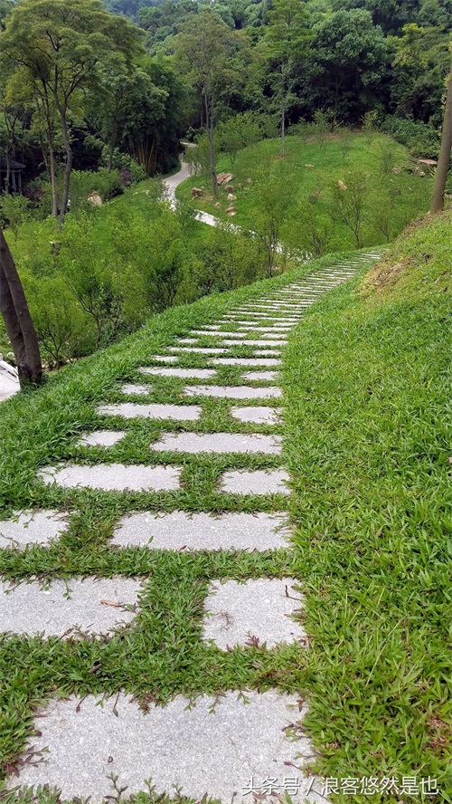 国家级AAAAA景区——广州市白云山风景名胜区,简约之美