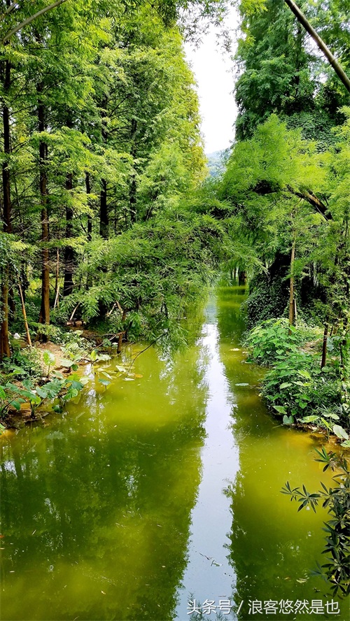 国家级AAAAA景区——广州市白云山风景名胜区,简约之美