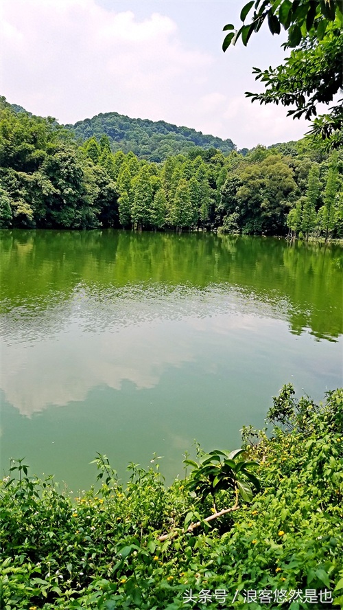 国家级AAAAA景区——广州市白云山风景名胜区,简约之美
