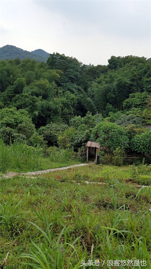 国家级AAAAA景区——广州市白云山风景名胜区,简约之美