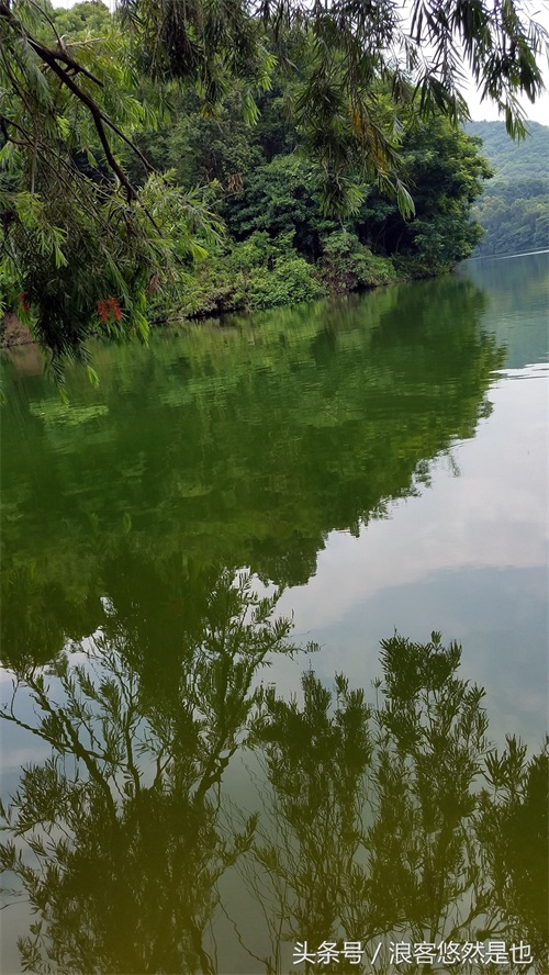 国家级AAAAA景区——广州市白云山风景名胜区,简约之美