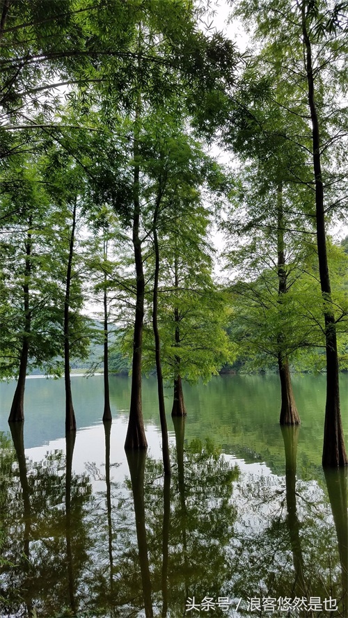 国家级AAAAA景区——广州市白云山风景名胜区,简约之美