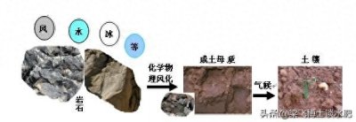 ​正确认识过磷酸钙和合理施肥