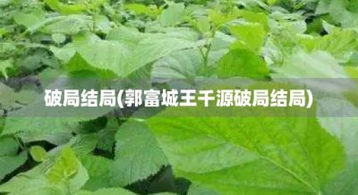 ​破局结局(郭富城王千源破局结局)