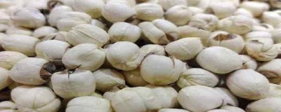 ​莲子的营养价值及营养成分