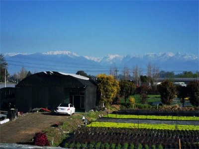 ​张达三，袍界三巨子高照林血溅凤凰山