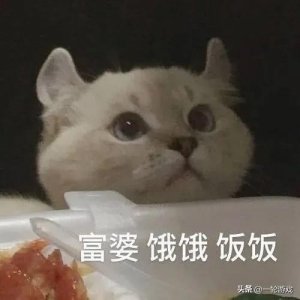 ​吃软饭