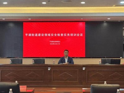 平湖街道开展城建领域安全检查实务培训