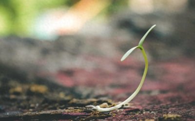 ​没离婚不管孩子，造成严重后果就不是遗弃罪