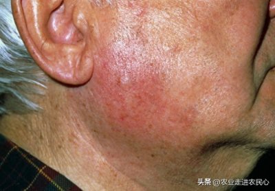 人要脸树要皮,但是你也没必要打自己的脸打肿充胖子吧?奇葩