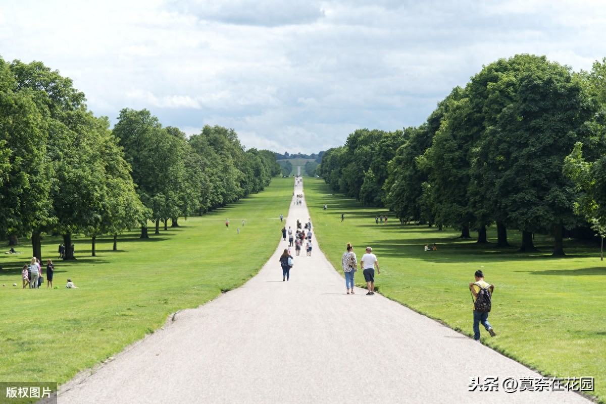 英国女王伊丽莎白二世的私家花园-温莎城堡(Windsor Castle)