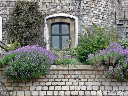 英国女王伊丽莎白二世的私家花园-温莎城堡(Windsor Castle)
