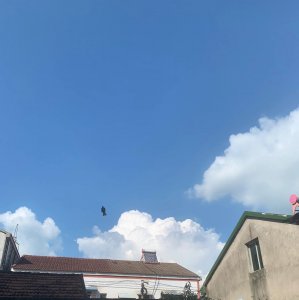 被外星人喂养的那些年《我有十八种养猪技巧》by老衲吃素