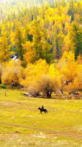 ​21个最适合9月出行的地方，你想去哪个，邂逅第一场秋色乍泄