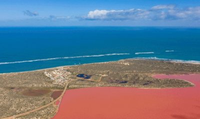 ​走进西奥，上帝视角探访神秘之境