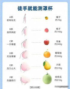 ​全国各省女人胸围图表，整理好了，不妨来看看你老婆达标了吗？