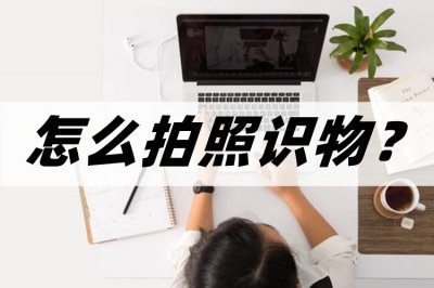 ​怎么拍照识物？这几个拍照识物的方法你知道吗？