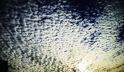 ​透光高积云了解一下，俗称叫鱼鳞云