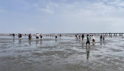 ​上海这个超大海滩可以免费玩！沙子细、可下海、能赶海……但一定要查好潮汐时