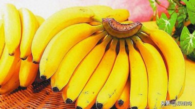 ​香蕉和芭蕉在营养上有什么不同？如何挑选新鲜成熟的香蕉和芭蕉？