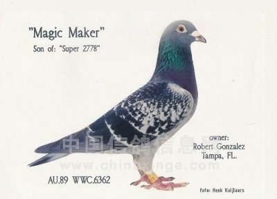 超级73嫡系传人:魔术师鸽舍