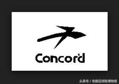 足球鞋的种类(足球鞋品牌大百科)(31)