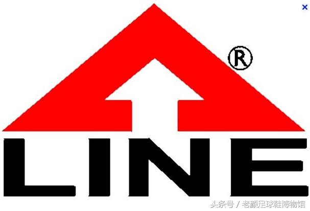 足球鞋的种类(足球鞋品牌大百科)(13)