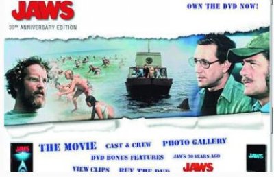 ​表露鲨作家全力于鲨鱼维护团队（图）