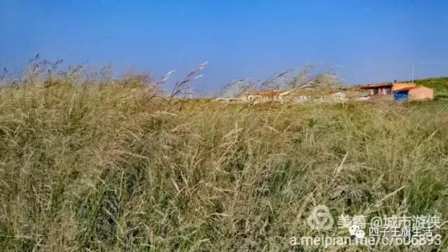 大美巴音布鲁克大草原（美丽的杜尔伯特神州草原）(70)