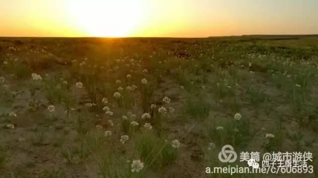 大美巴音布鲁克大草原（美丽的杜尔伯特神州草原）(90)