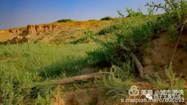 大美巴音布鲁克大草原（美丽的杜尔伯特神州草原）(63)